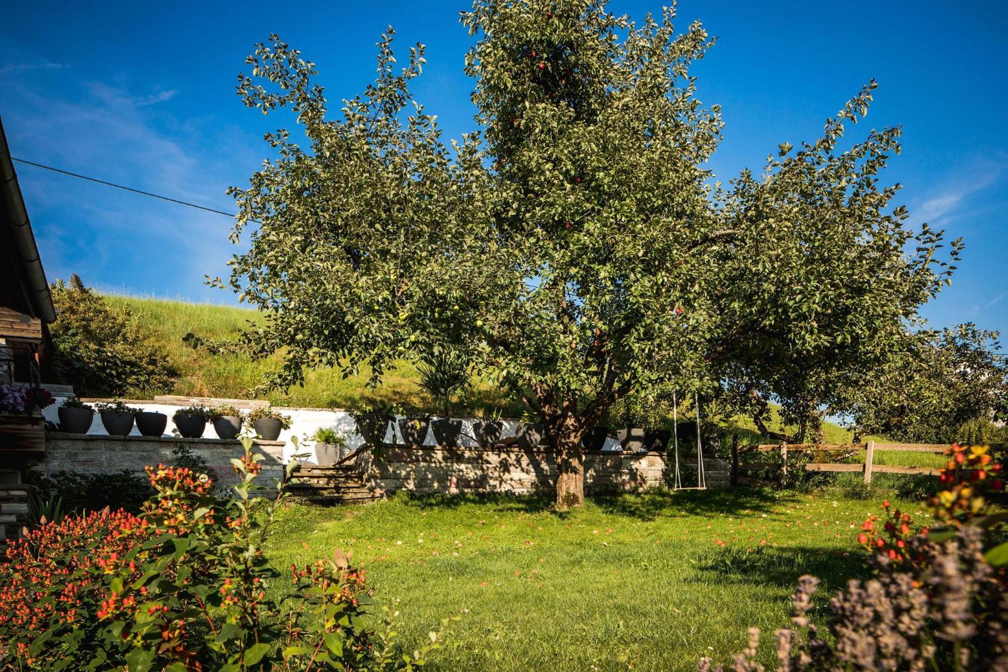 Haus Bichler Daire Kössen Dış mekan fotoğraf
