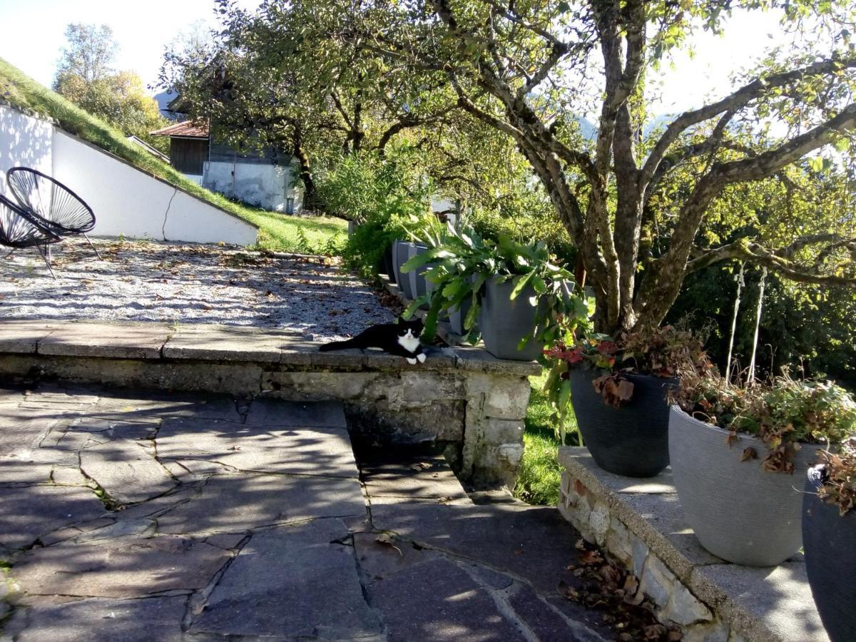 Haus Bichler Daire Kössen Dış mekan fotoğraf